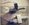 IMG_3046.jpeg