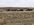 IMG_6496.jpeg
