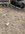 IMG_6498.jpeg