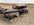 IMG_6499.jpeg