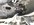 IMG_4315.jpeg