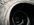 IMG_4015.jpeg