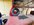 IMG_4014.jpeg