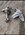 IMG_3414.jpeg