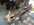 IMG_8759.jpeg