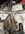 IMG_0752.jpeg