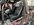 IMG_1606.jpeg
