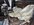 IMG_1609.jpeg