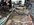 IMG_1611.jpeg