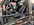 IMG_1616.jpeg