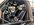 IMG_1618.jpeg