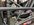 IMG_1619.jpeg