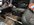 IMG_1625.jpeg