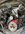 IMG_0058.jpeg