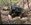 IMG_1667.jpeg