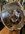 IMG_8842.jpeg
