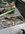 IMG_8837.jpeg