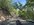 IMG_2532.jpeg IMG_2532.jpeg