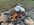 IMG_2516.jpeg IMG_2516.jpeg