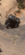 IMG_2602.png