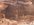 IMG_2713.jpeg
