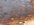 IMG_2710.jpeg
