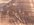 IMG_2707.jpeg