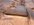 IMG_2703.jpeg