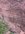 IMG_2701.jpeg