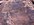 IMG_2699.jpeg