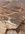 IMG_2696.jpeg
