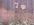 IMG_2694.jpeg
