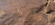 IMG_2599.png