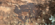 IMG_2598.png