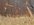 IMG_2591.jpeg