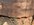IMG_2588.jpeg
