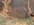 IMG_2587.jpeg