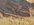 IMG_2589.jpeg
