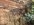 IMG_2590.jpeg