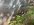 IMG_2592.jpeg