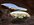IMG_2614.jpeg