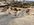 IMG_2633.jpeg