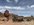 IMG_2640.jpeg