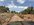 IMG_2656.jpeg
