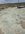 IMG_2669.jpeg