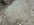 IMG_2662.jpeg