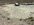 IMG_2672.jpeg