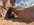 IMG_2718.jpeg