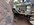 IMG_2727.jpeg