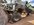 IMG_2728.jpeg